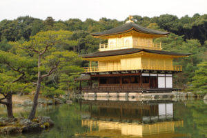 【胡蝶蘭/京都】京都府に胡蝶蘭を配送するなら